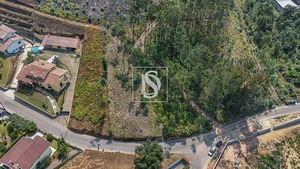 Terreno Rstico T0 - Ossela, Oliveira de Azemis, Aveiro - Miniatura: 1/9