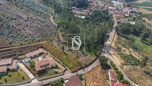 Terreno Rstico T0 - Ossela, Oliveira de Azemis, Aveiro - Miniatura: 2/9