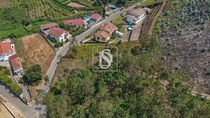 Terreno Rstico T0 - Ossela, Oliveira de Azemis, Aveiro - Miniatura: 5/9