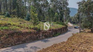 Terreno Rstico T0 - Ossela, Oliveira de Azemis, Aveiro - Miniatura: 6/9