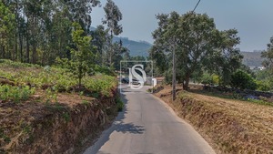 Terreno Rstico T0 - Ossela, Oliveira de Azemis, Aveiro - Miniatura: 7/9