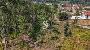 Terreno Rstico T0 - Ossela, Oliveira de Azemis, Aveiro - Miniatura: 8/9