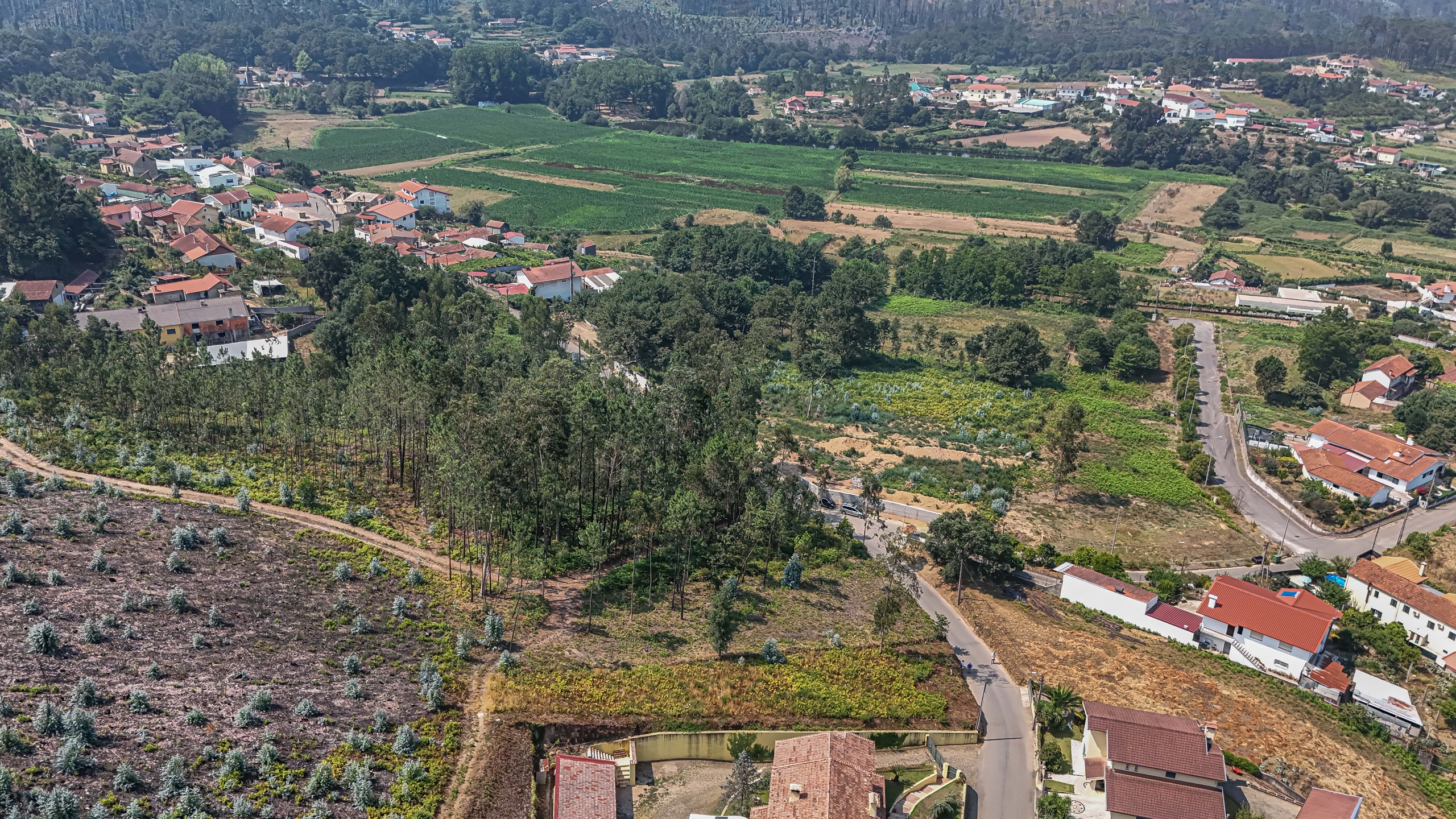 Terreno R�stico - Ossela, Oliveira de Azem�is, Aveiro - Miniatura: 4/9