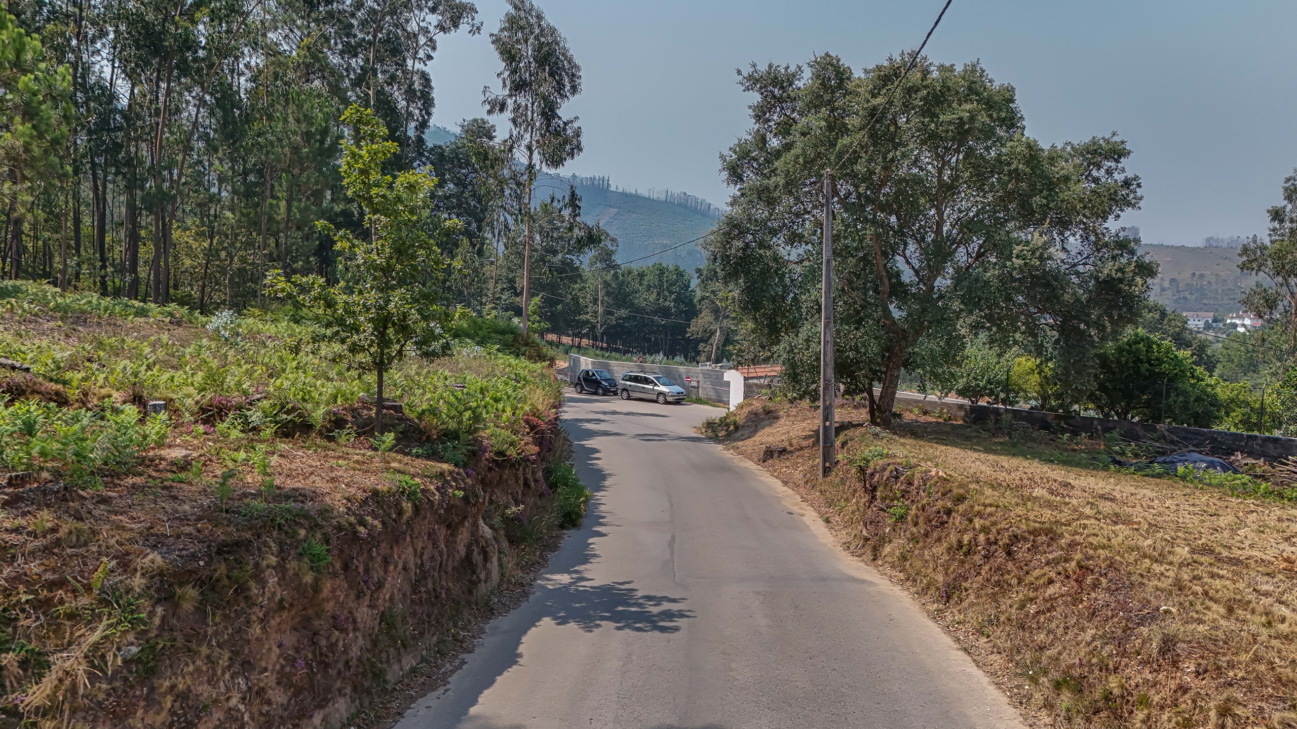 Terreno R�stico - Ossela, Oliveira de Azem�is, Aveiro - Miniatura: 7/9