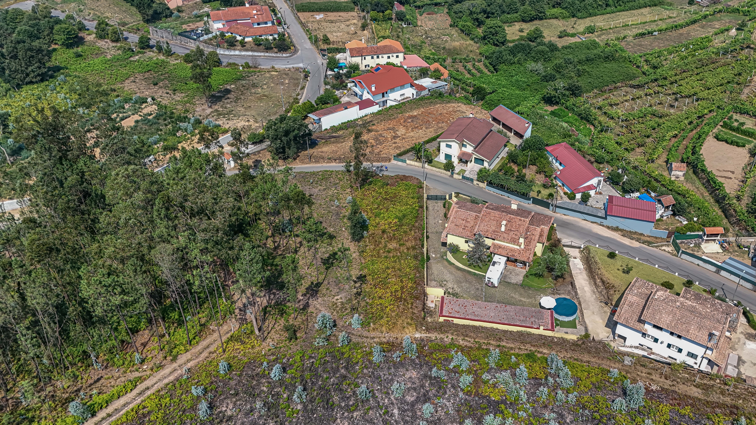 Terreno R�stico - Ossela, Oliveira de Azem�is, Aveiro - Miniatura: 9/9