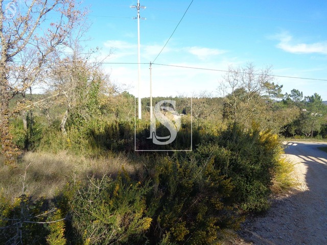 Terreno R�stico T0 - Sei�a, Our�m, Santar�m - Imagem grande