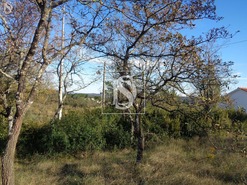 Terreno R�stico T0 - Sei�a, Our�m, Santar�m - Miniatura: 2/5