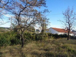 Terreno R�stico T0 - Sei�a, Our�m, Santar�m - Miniatura: 3/5
