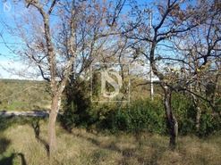 Terreno R�stico T0 - Sei�a, Our�m, Santar�m - Miniatura: 4/5