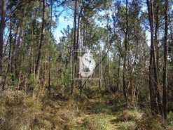 Moradia T2 - Rio de Couros, Our�m, Santar�m