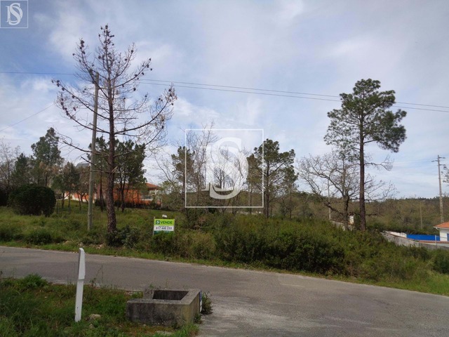 Terreno Rústico T0 - Seiça, Ourém, Santarém - Imagem grande