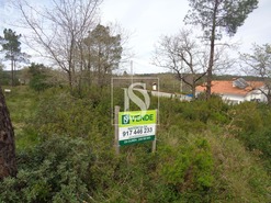 Terreno Rstico T0 - Seia, Ourm, Santarm - Miniatura: 1/4