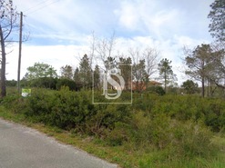 Terreno Rstico T0 - Seia, Ourm, Santarm - Miniatura: 2/4