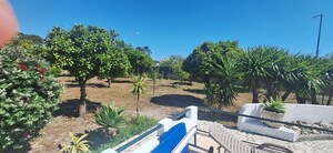 Moradia T4 - Quinta do Conde, Sesimbra, Set�bal - Miniatura: 47/56