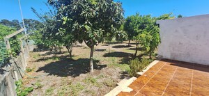 Moradia T4 - Quinta do Conde, Sesimbra, Set�bal - Miniatura: 48/56