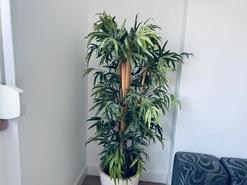 Apartamento T2 - Agualva, Sintra, Lisboa - Miniatura: 53/56