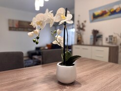 Apartamento T2 - Baixa da Banheira, Moita, Set�bal - Miniatura: 8/29