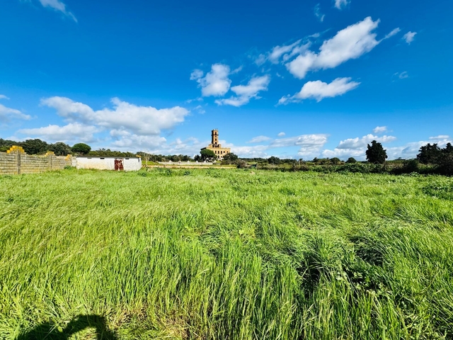 Terreno R�stico - Palhais, Barreiro, Set�bal - Imagem grande