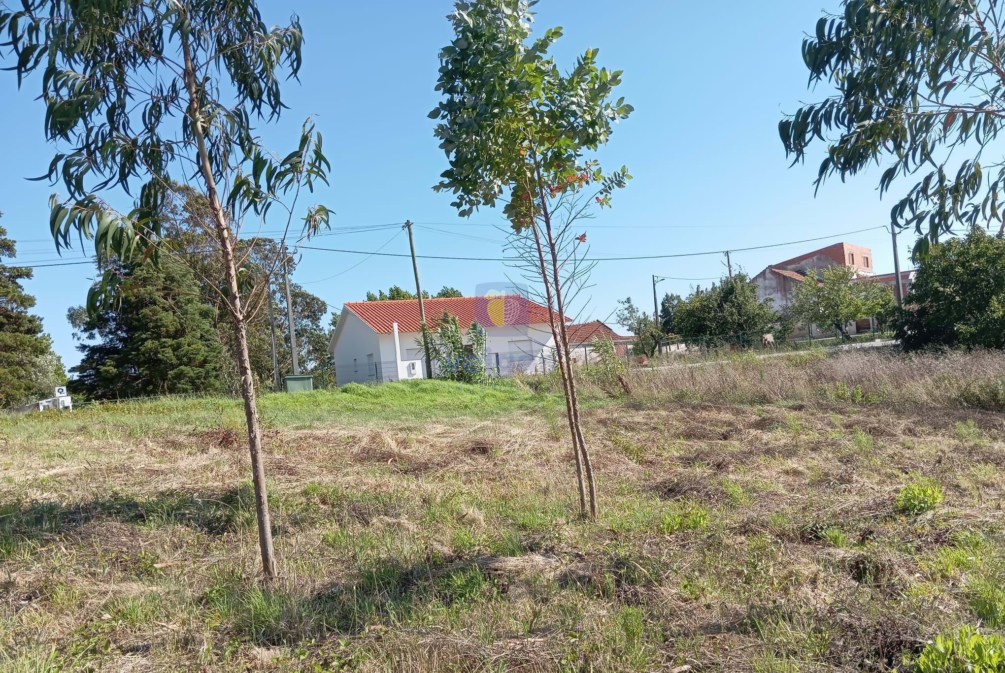 Terreno R�stico T0 - Alvorninha, Caldas da Rainha, Leiria - Imagem grande