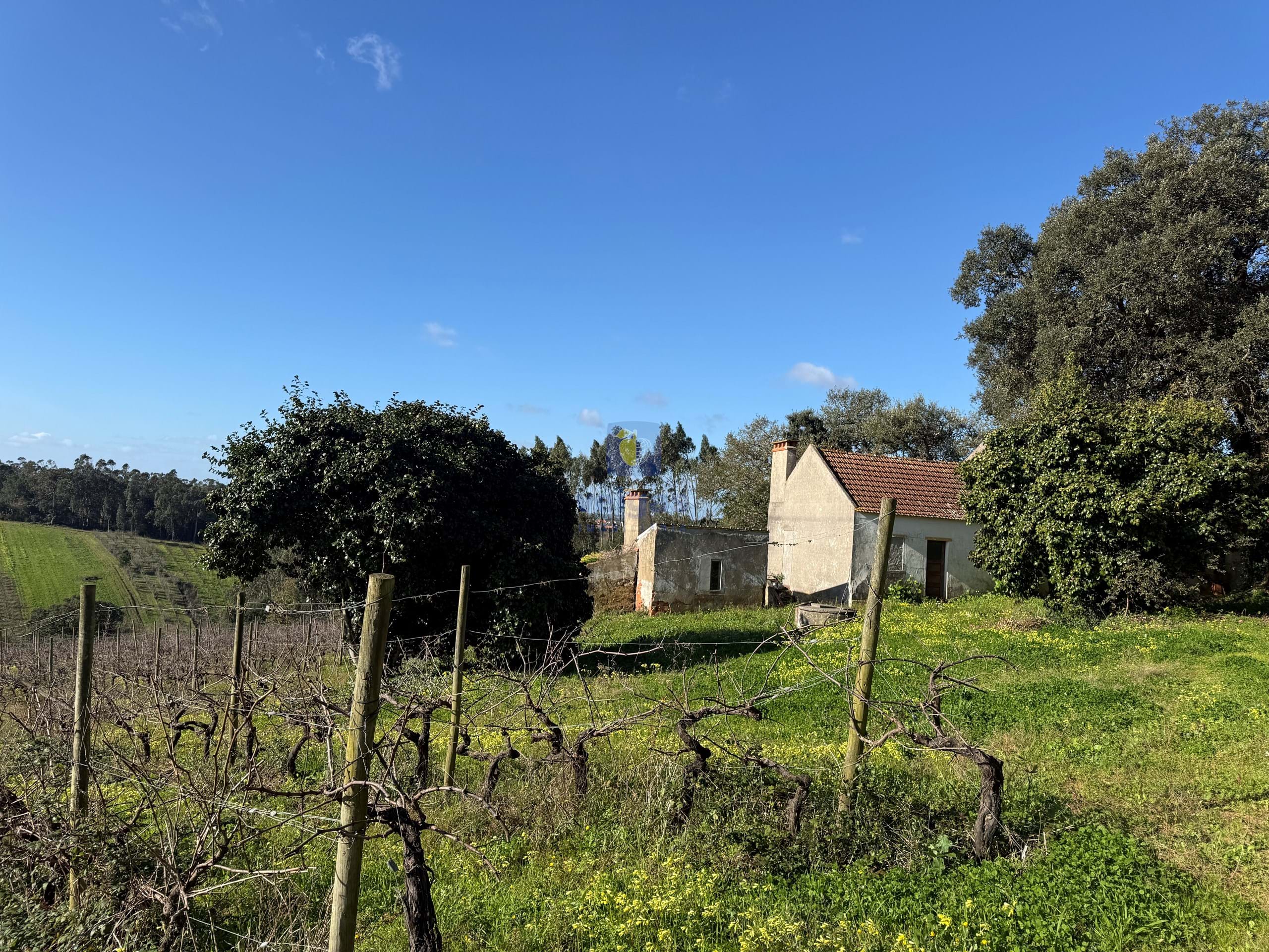 Quinta T4 - Usseira, �bidos, Leiria - Imagem grande