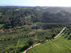 Terreno Rstico T0 - A dos Negros, bidos, Leiria