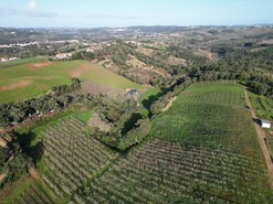 Terreno Rstico T0 - A dos Negros, bidos, Leiria - Miniatura: 2/18