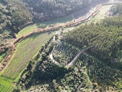 Terreno Rstico T0 - A dos Negros, bidos, Leiria - Miniatura: 4/18