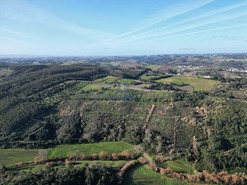 Terreno Rstico T0 - A dos Negros, bidos, Leiria - Miniatura: 6/18