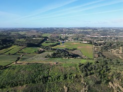 Terreno Rstico T0 - A dos Negros, bidos, Leiria - Miniatura: 7/18