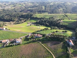 Terreno Rstico T0 - A dos Negros, bidos, Leiria - Miniatura: 10/18