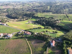 Terreno Rstico T0 - A dos Negros, bidos, Leiria - Miniatura: 11/18