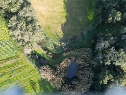 Terreno Rstico T0 - A dos Negros, bidos, Leiria - Miniatura: 12/18