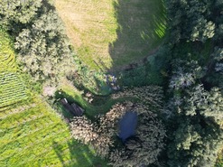 Terreno Rstico T0 - A dos Negros, bidos, Leiria - Miniatura: 13/18