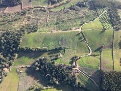 Terreno Rstico T0 - A dos Negros, bidos, Leiria - Miniatura: 17/18