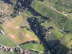 Terreno Rstico T0 - A dos Negros, bidos, Leiria - Miniatura: 18/18