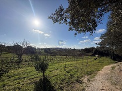 Terreno R�stico T4 - Usseira, �bidos, Leiria - Miniatura: 8/26