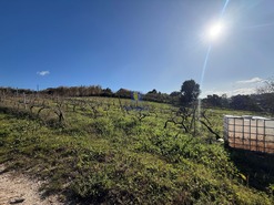 Terreno R�stico T4 - Usseira, �bidos, Leiria - Miniatura: 16/26