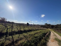 Terreno R�stico T4 - Usseira, �bidos, Leiria - Miniatura: 19/26