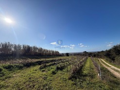 Terreno R�stico T4 - Usseira, �bidos, Leiria - Miniatura: 20/26