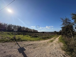 Terreno R�stico T4 - Usseira, �bidos, Leiria - Miniatura: 22/26