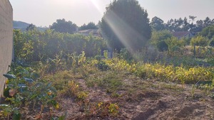 Moradia T3 - Santa Catarina, Caldas da Rainha, Leiria - Miniatura: 31/34