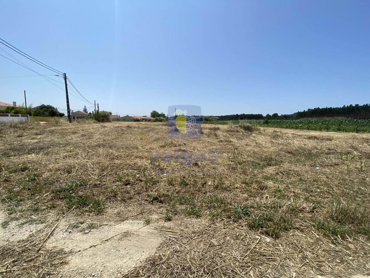 Terreno R�stico T0 - Caldas da Rainha, Caldas da Rainha, Leiria - Miniatura: 7/18