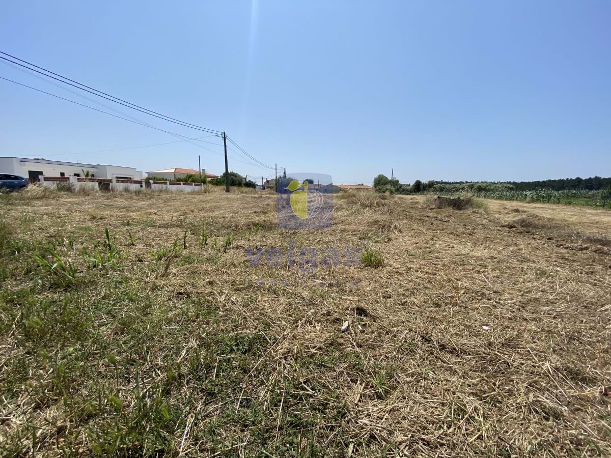 Terreno R�stico T0 - Caldas da Rainha, Caldas da Rainha, Leiria - Miniatura: 8/18