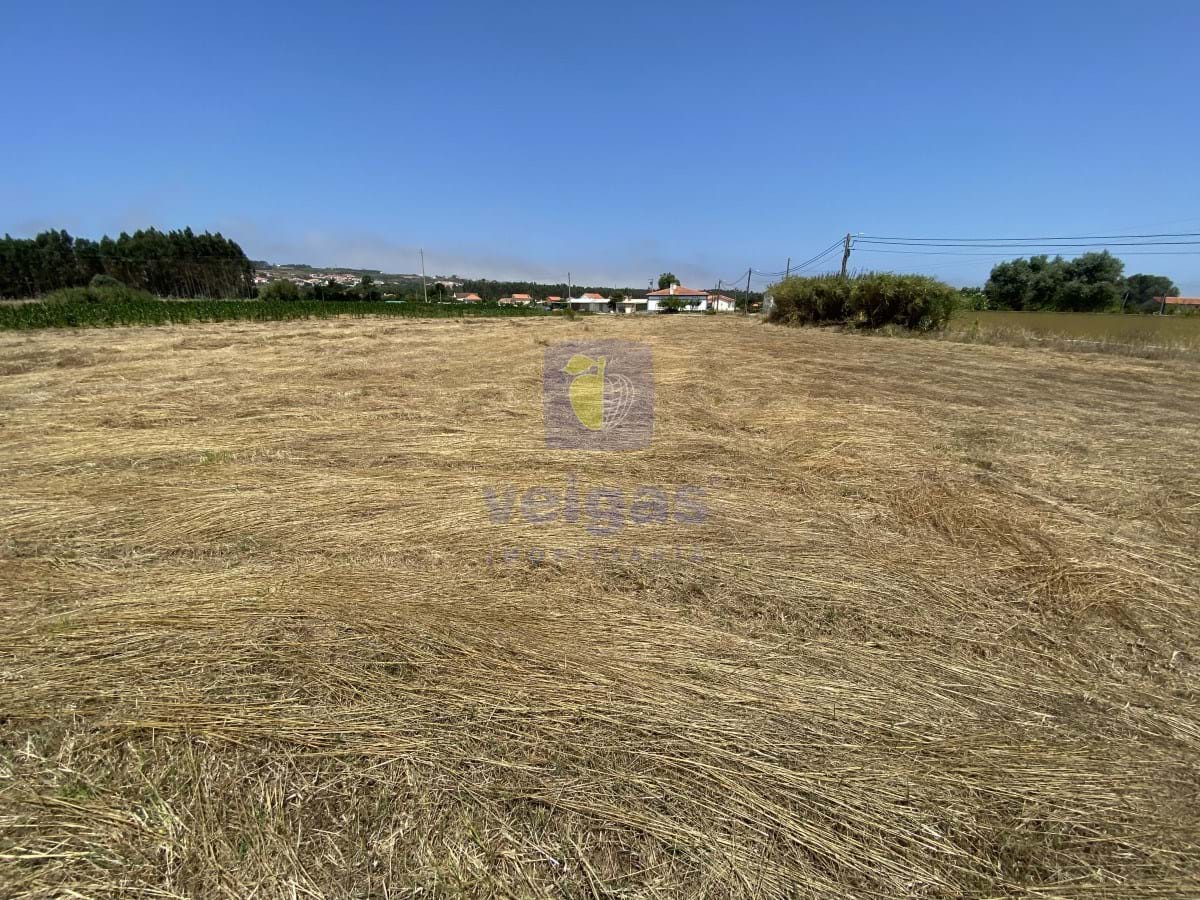 Terreno R�stico T0 - Caldas da Rainha, Caldas da Rainha, Leiria - Miniatura: 15/18