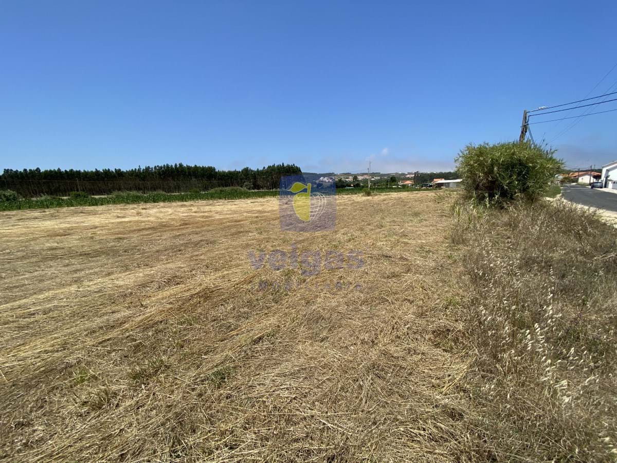 Terreno R�stico T0 - Caldas da Rainha, Caldas da Rainha, Leiria - Miniatura: 17/18
