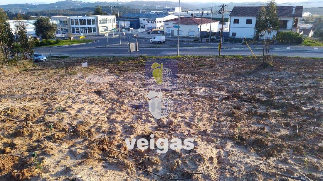 Terreno R�stico T0 - Gaeiras, �bidos, Leiria - Miniatura: 1/7