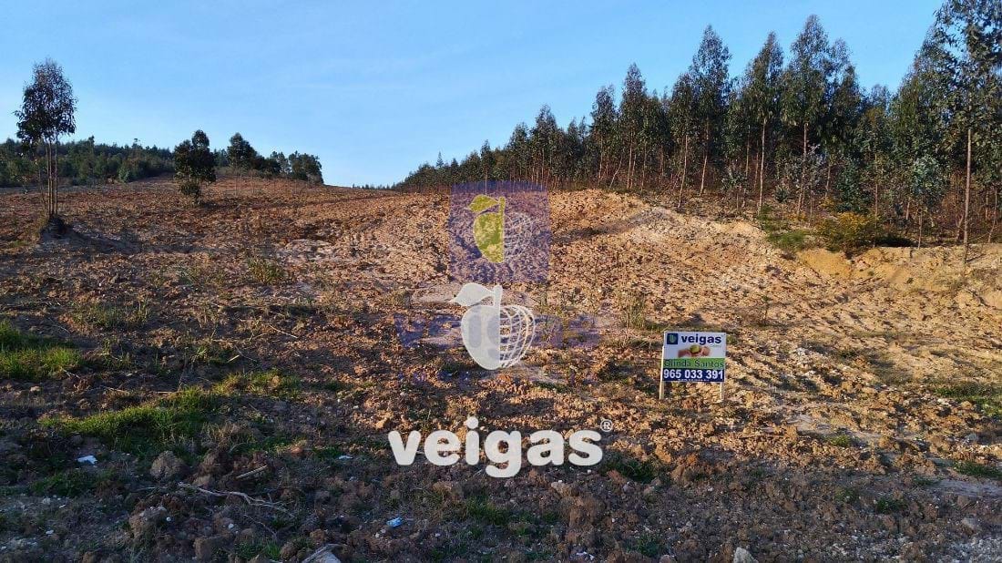 Terreno R�stico T0 - Gaeiras, �bidos, Leiria - Miniatura: 4/7