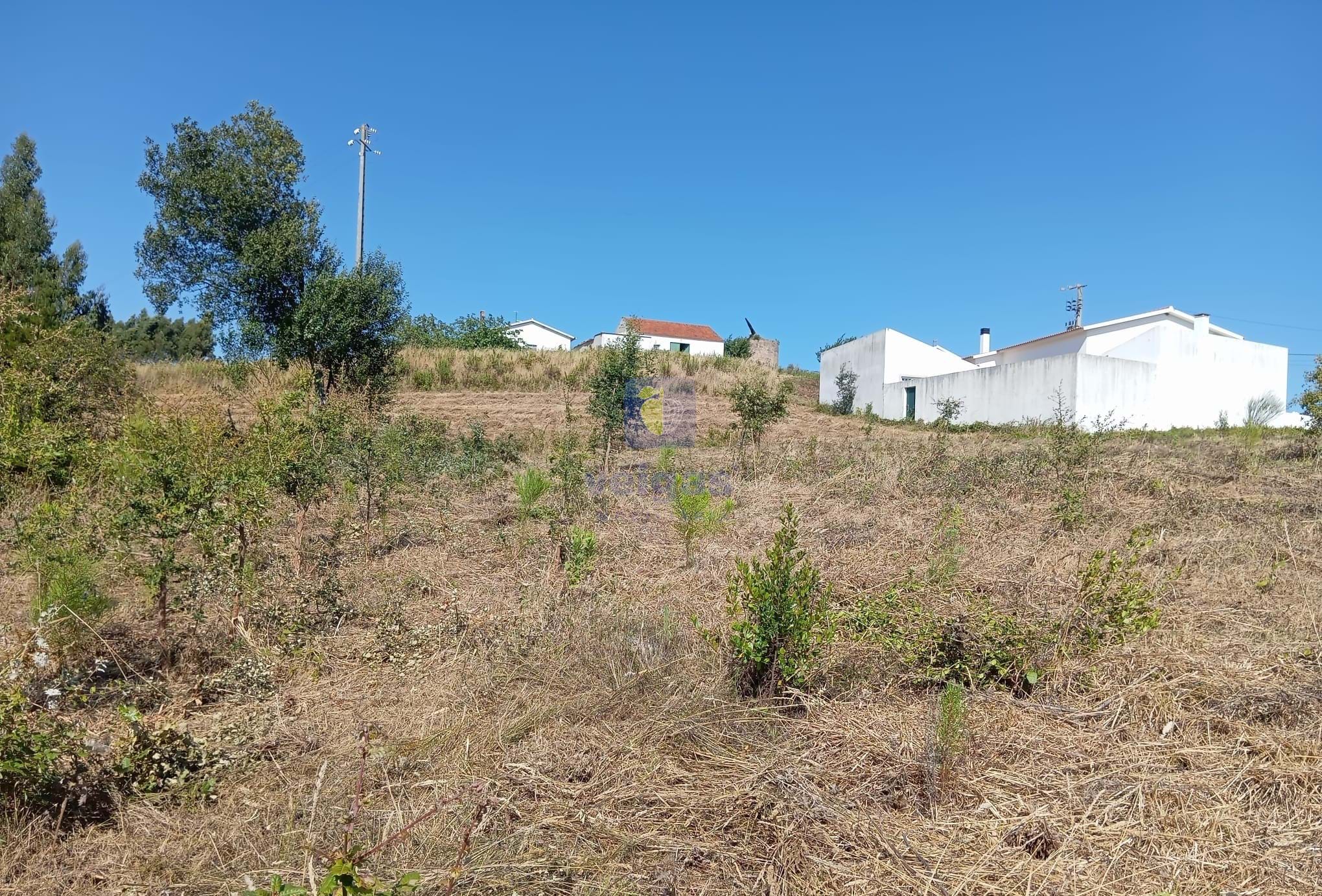Terreno R�stico T0 - Alvorninha, Caldas da Rainha, Leiria - Miniatura: 1/10