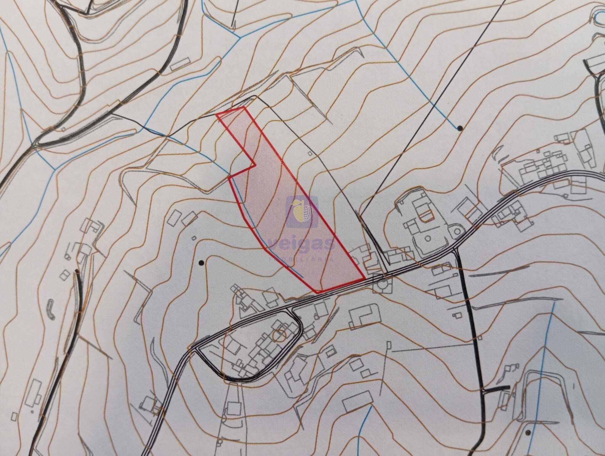 Terreno R�stico T0 - Alvorninha, Caldas da Rainha, Leiria - Miniatura: 3/10