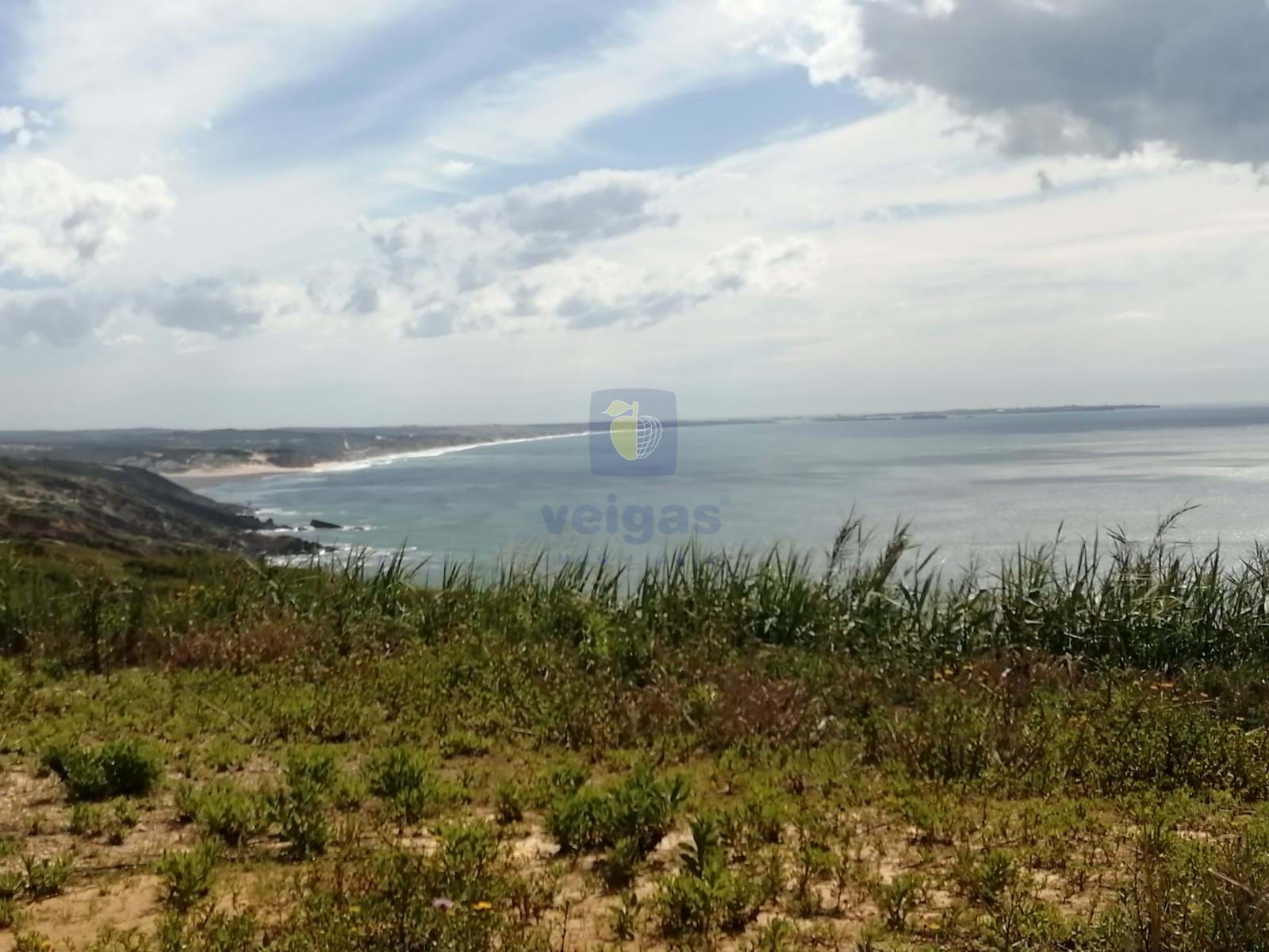 Terreno R�stico T0 - Santo Onofre, Caldas da Rainha, Leiria - Miniatura: 4/15